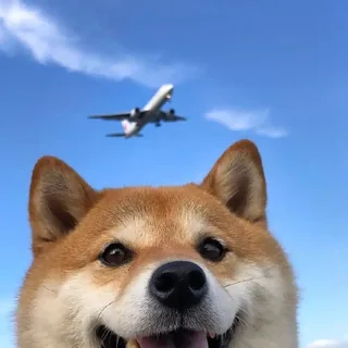 叉勾