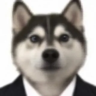 真 狗狗