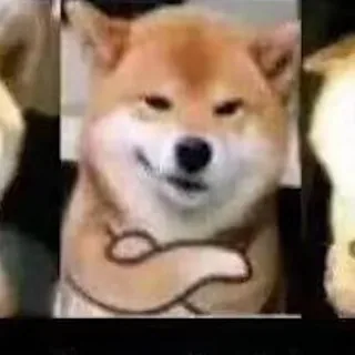 M小骷髅M